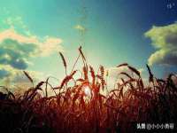 海口胡双科技有限公司