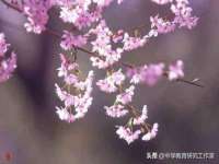 海口胡双科技有限公司