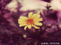 海口胡双科技有限公司
