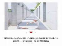 海口胡双科技有限公司