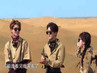 海口胡双科技有限公司