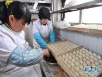 海口胡双科技有限公司