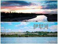 海口胡双科技有限公司