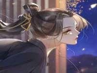 海口胡双科技有限公司