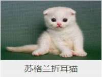 海口胡双科技有限公司