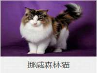 海口胡双科技有限公司