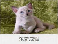 海口胡双科技有限公司