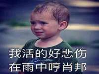 海口胡双科技有限公司