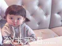海口胡双科技有限公司