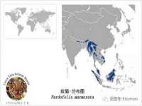 海口胡双科技有限公司