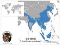 海口胡双科技有限公司