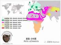 海口胡双科技有限公司