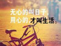 海口胡双科技有限公司