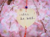 海口胡双科技有限公司