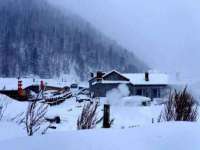 海口胡双科技有限公司