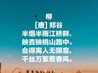 海口胡双科技有限公司