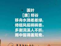 海口胡双科技有限公司