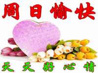 海口胡双科技有限公司