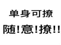 海口胡双科技有限公司