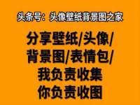 海口胡双科技有限公司