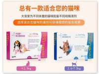 海口胡双科技有限公司