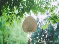 海口胡双科技有限公司