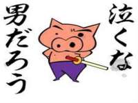海口胡双科技有限公司
