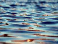 海口胡双科技有限公司