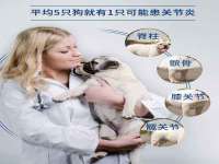 海口胡双科技有限公司