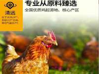 海口胡双科技有限公司