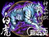 海口胡双科技有限公司