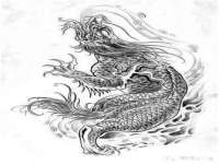 海口胡双科技有限公司