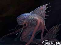 海口胡双科技有限公司