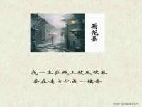 海口胡双科技有限公司