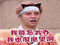 海口胡双科技有限公司