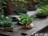 海口胡双科技有限公司
