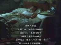海口胡双科技有限公司