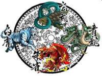 海口胡双科技有限公司