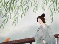 海口胡双科技有限公司