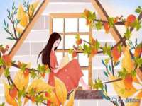 海口胡双科技有限公司