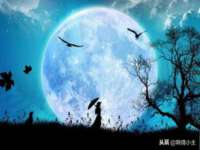 海口胡双科技有限公司