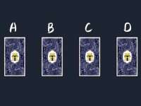 海口胡双科技有限公司