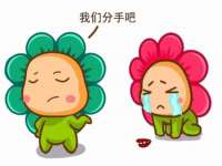 海口胡双科技有限公司