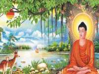 海口胡双科技有限公司