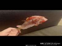 海口胡双科技有限公司