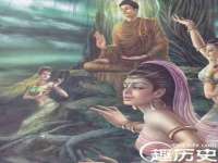 海口胡双科技有限公司